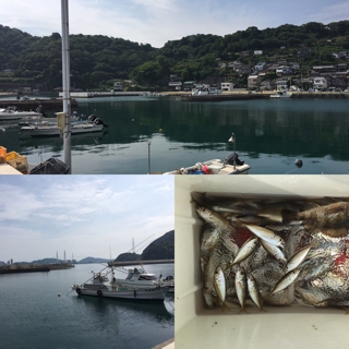 和歌山の釣り場 塩津漁港 サビキ釣り 豆アジ釣り