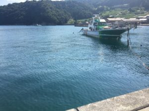 福井 日引漁港 サビキ釣り アコウ釣り (5)